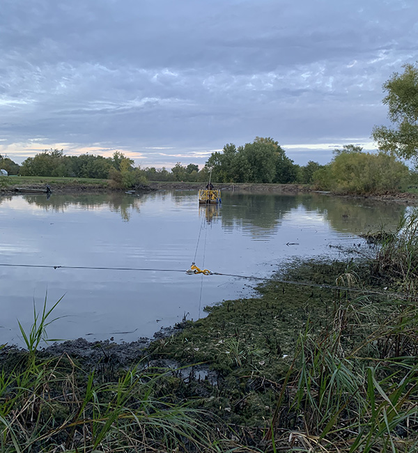 Why Should I Dredge My Pond