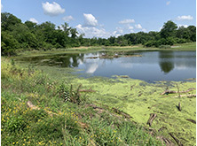 private ponds or lakes